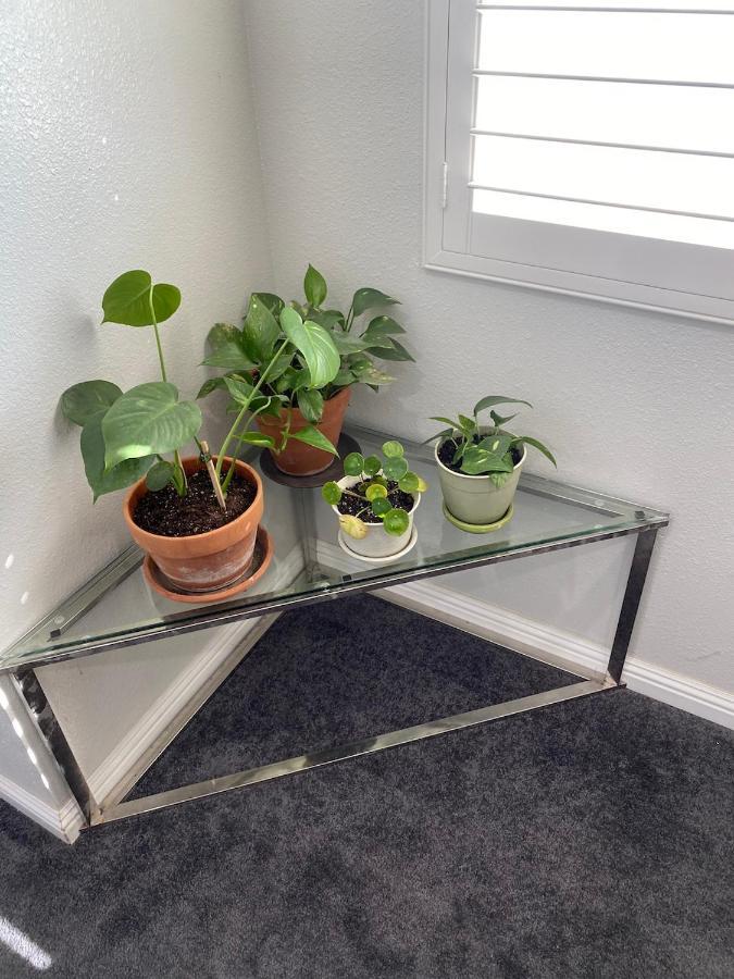 Private Room In La With Free Wifi And Tv With Shared Kitchen Los Angeles Esterno foto